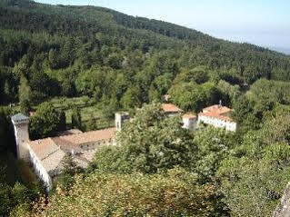 Albergo La Foresta Reggello Exteriör bild